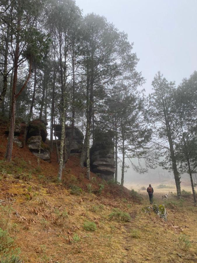 Cabanas Chalets Piedra Alta Zacatlan Camotepec Eksteriør billede
