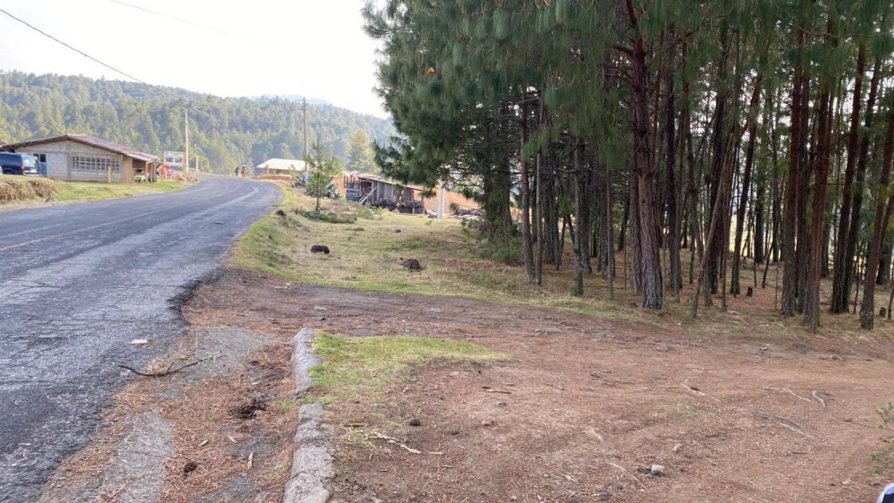 Cabanas Chalets Piedra Alta Zacatlan Camotepec Eksteriør billede